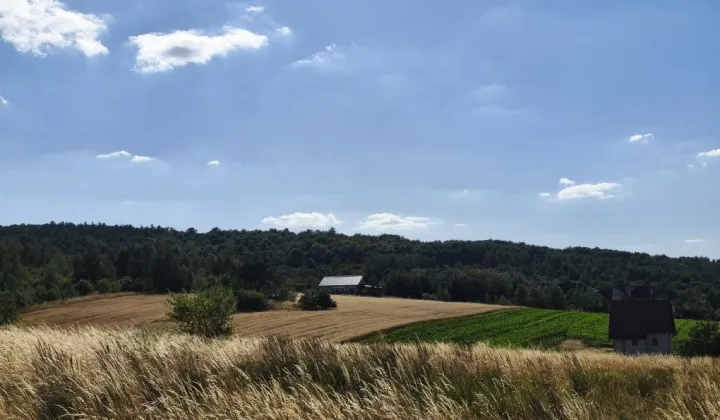 Działka budowlana Kuropatnik