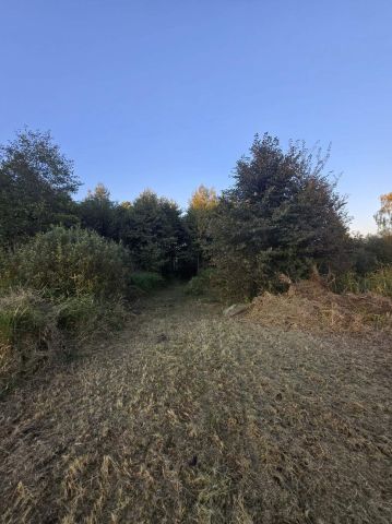 Działka rolna Muntowo. Zdjęcie 1