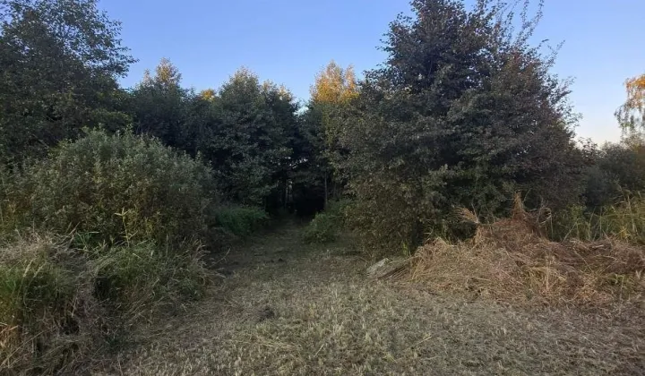 Działka rolna Muntowo