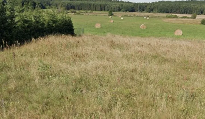 Działka budowlana Dębina, ul. Nagietkowa
