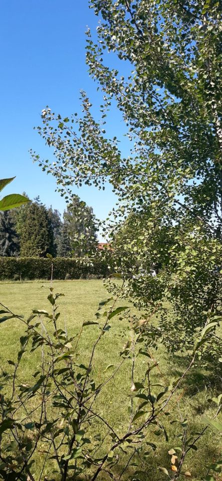 Działka budowlana Osola, ul. Wiśniowa. Zdjęcie 11