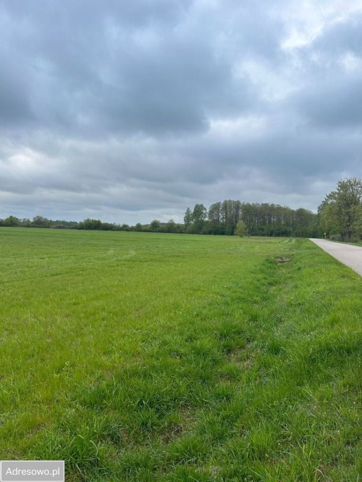 Działka budowlana Dzbanice. Zdjęcie 6