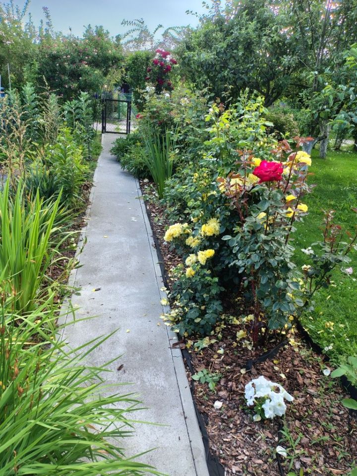 Działka rod Tarnobrzeg Wymysłów. Zdjęcie 6