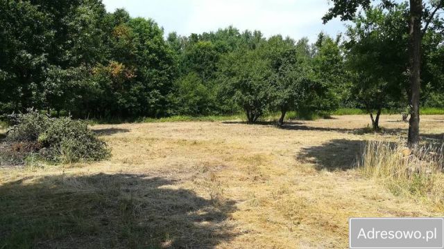 Działka rolna Sobików. Zdjęcie 1