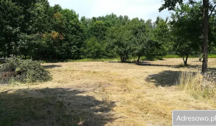 Działka rolna Sobików