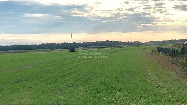 Działka rolna Piecki. Zdjęcie 5