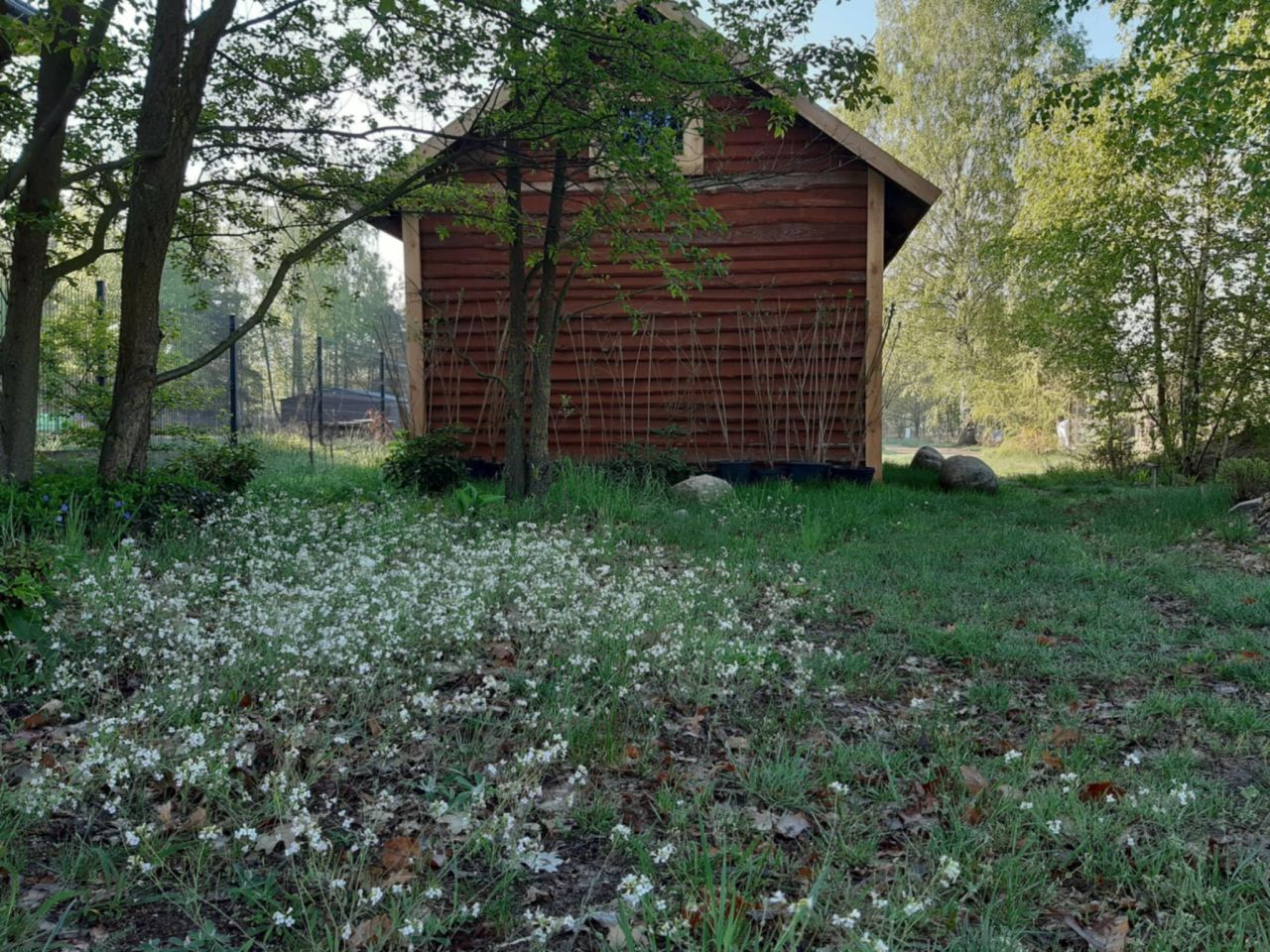 Działka budowlana Podbiel Krupińskie, Sosnowa. Zdjęcie 10