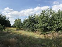 Działka budowlana Budy Wandalińskie. Zdjęcie 1