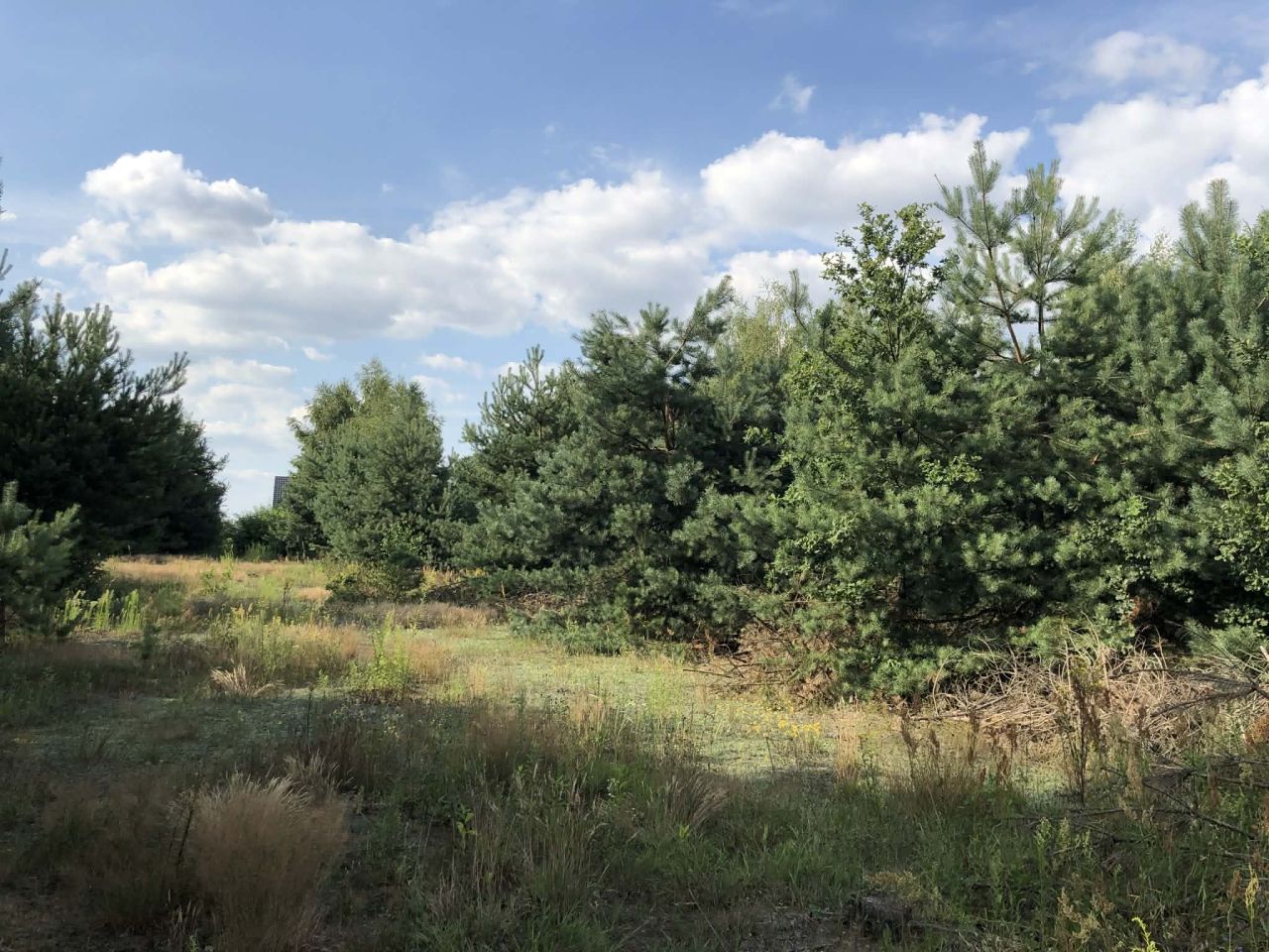 Działka budowlana Budy Wandalińskie. Zdjęcie 2