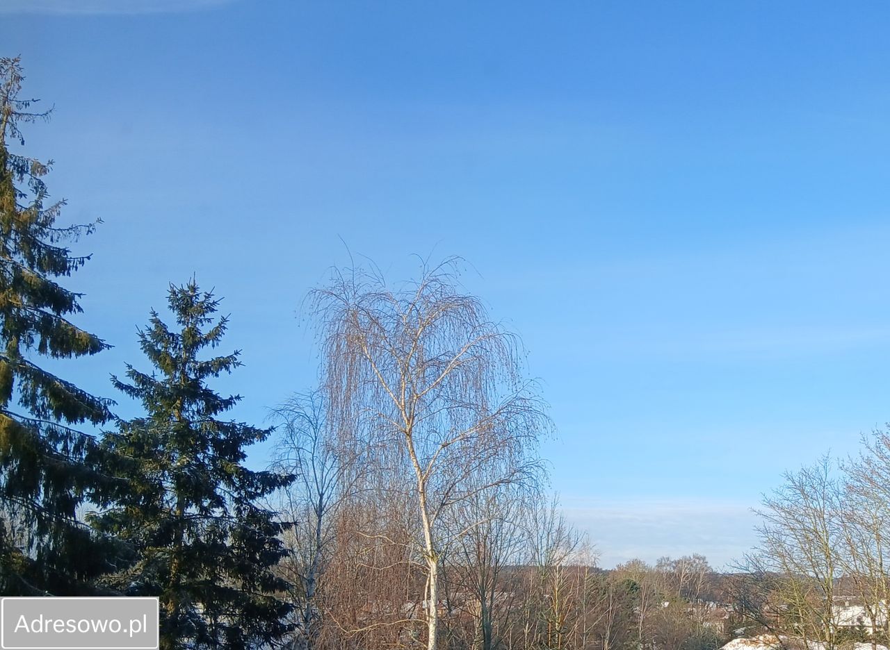 dom wolnostojący, 6 pokoi Kołczewo. Zdjęcie 11