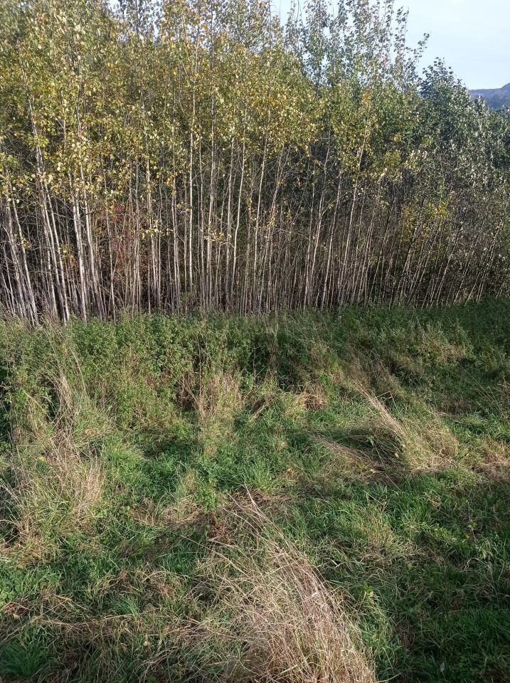 Działka rolna Szczawnica, ul. Sopotnicka. Zdjęcie 7