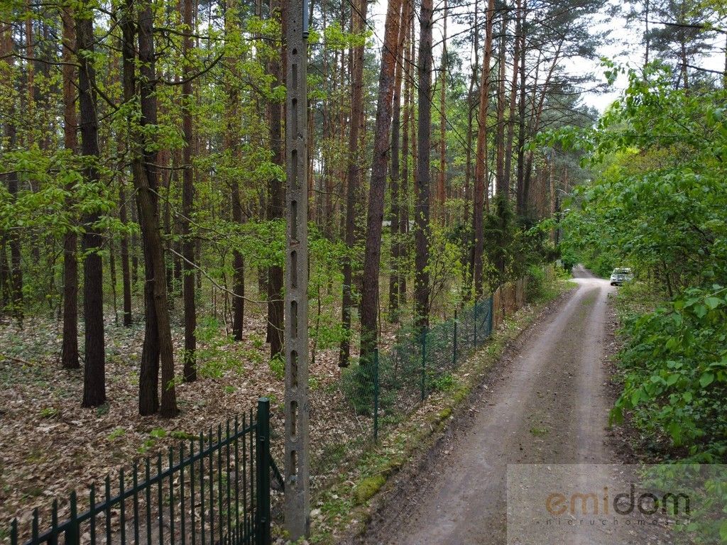 Działka leśna Siestrzeń. Zdjęcie 2