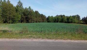 Działka budowlana Radziwie