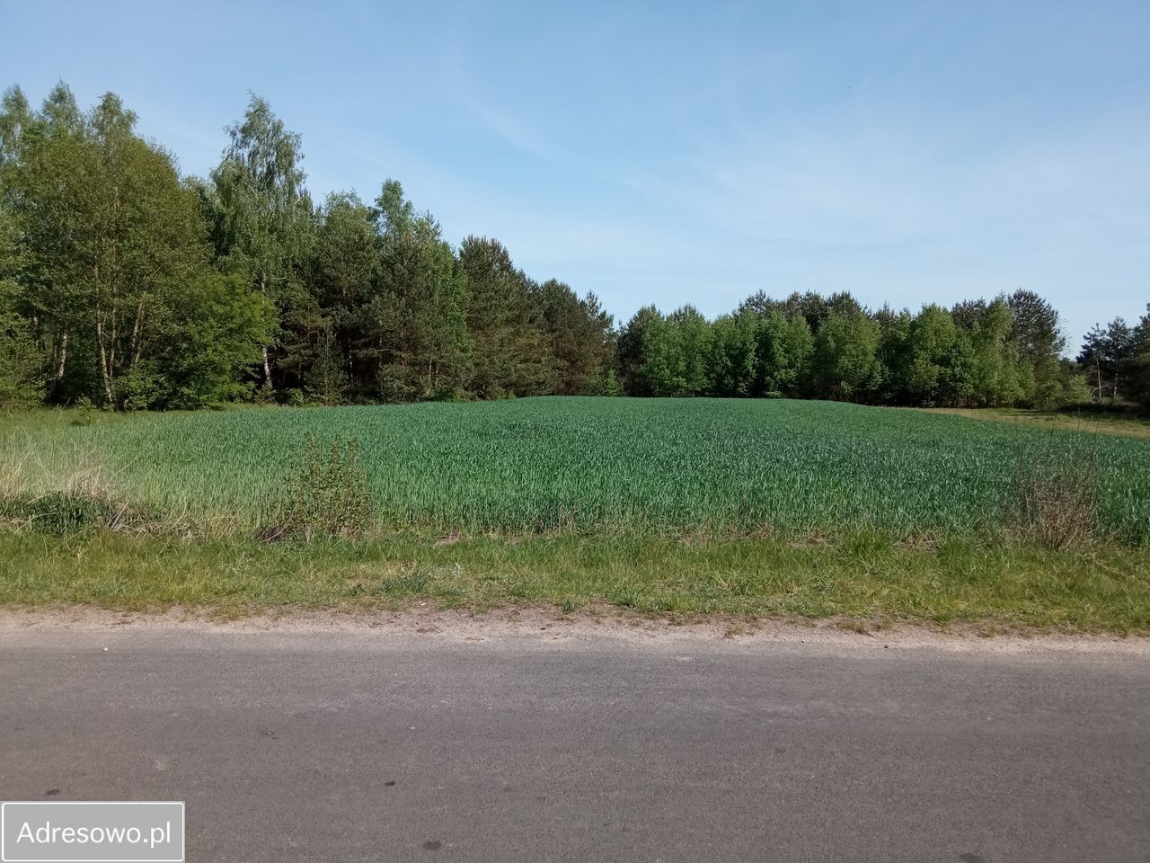 Działka budowlana Radziwie