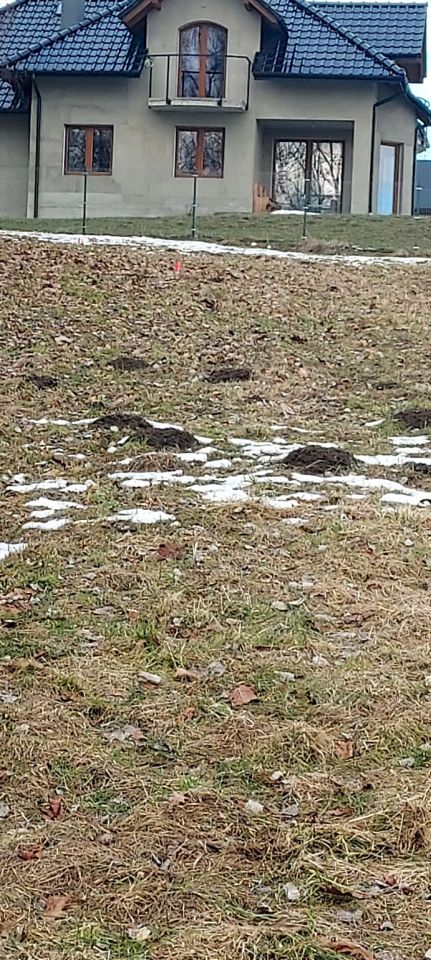 Działka rolno-budowlana Chorągwica. Zdjęcie 1