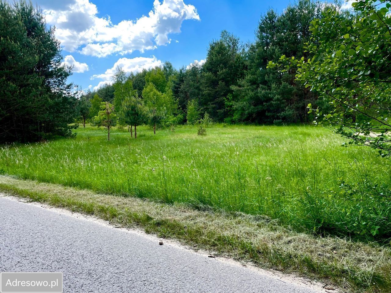 Działka Skrzelczyce. Zdjęcie 4