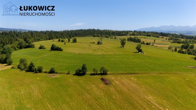 Działka leśna Pieniążkowice. Zdjęcie 16