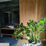 dom wolnostojący, 5 pokoi Rozgarty, ul. Zielona Polana. Zdjęcie 4