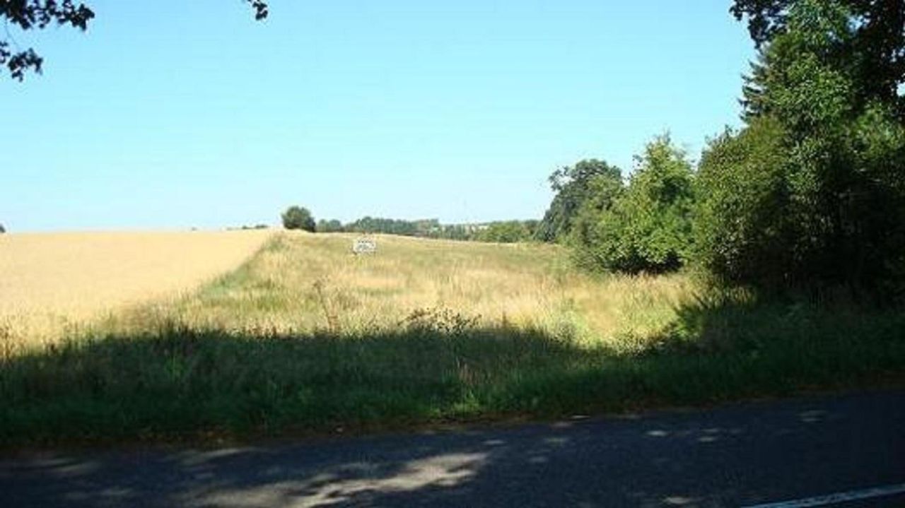 Działka budowlana Słonowice. Zdjęcie 5