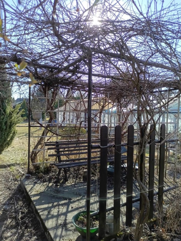 Działka rod Zgierz, ul. 1 Maja. Zdjęcie 3