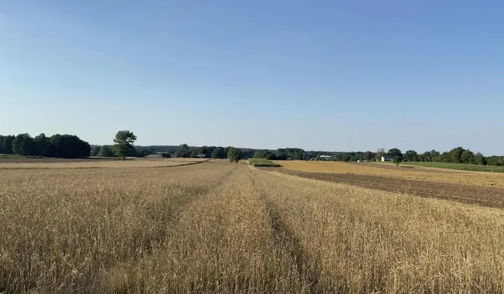 Działka siedliskowa Janowice