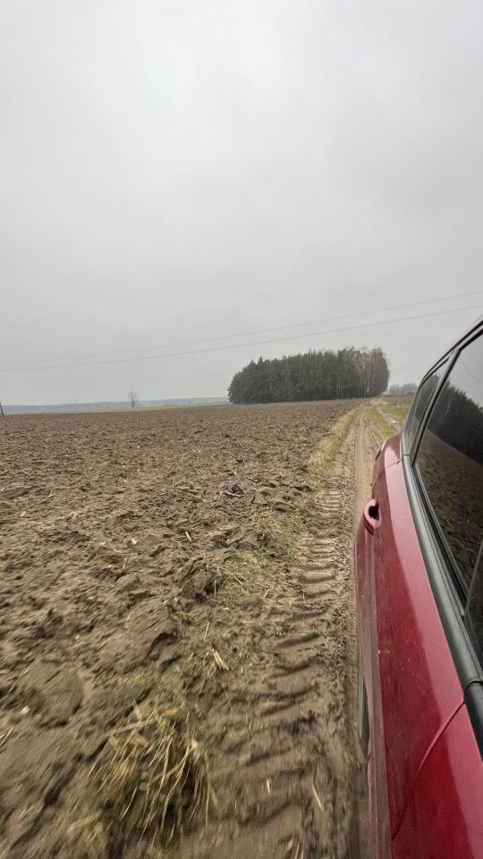 Działka leśna Skarżynek. Zdjęcie 12