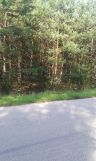 Działka leśna Boiska-Kolonia. Zdjęcie 1
