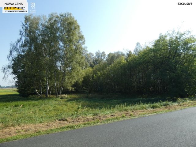 Działka inwestycyjna Tarnówko. Zdjęcie 6