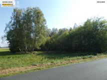 Działka inwestycyjna Tarnówko. Zdjęcie 4