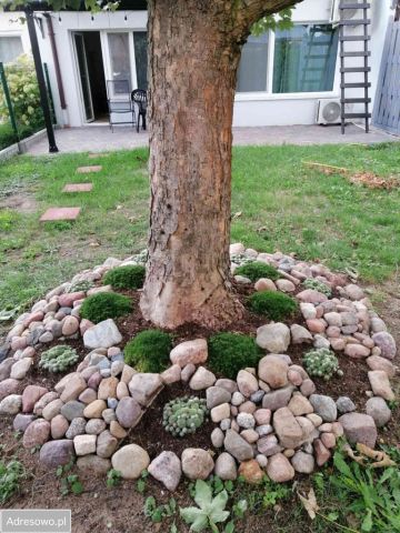 Działka rekreacyjna Koronowo Pieczyska, ul. Wypoczynkowa. Zdjęcie 10