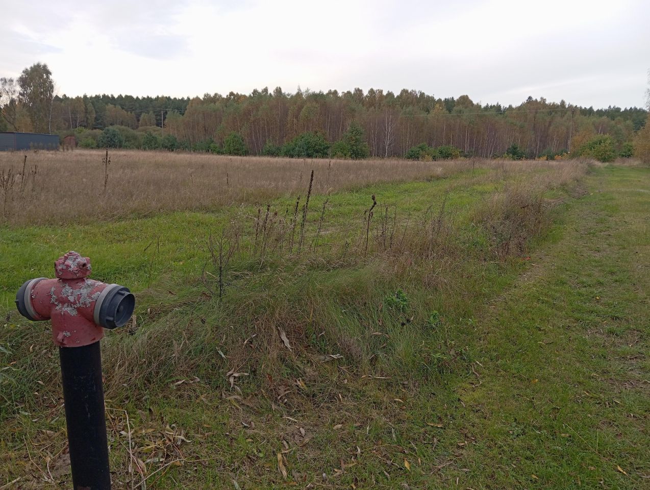 Działka budowlana Iwiec. Zdjęcie 2