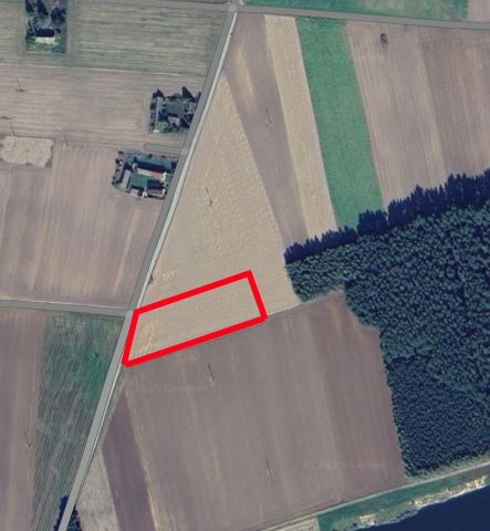 Działka budowlana Chynowa. Zdjęcie 1