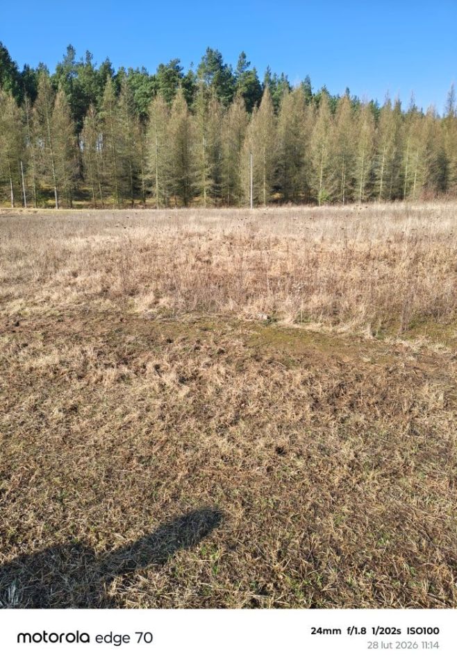 Działka budowlana Dobrzyca. Zdjęcie 2