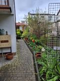 dom wolnostojący, 10 pokoi Mielno, ul. Henryka Sienkiewicza. Zdjęcie 4