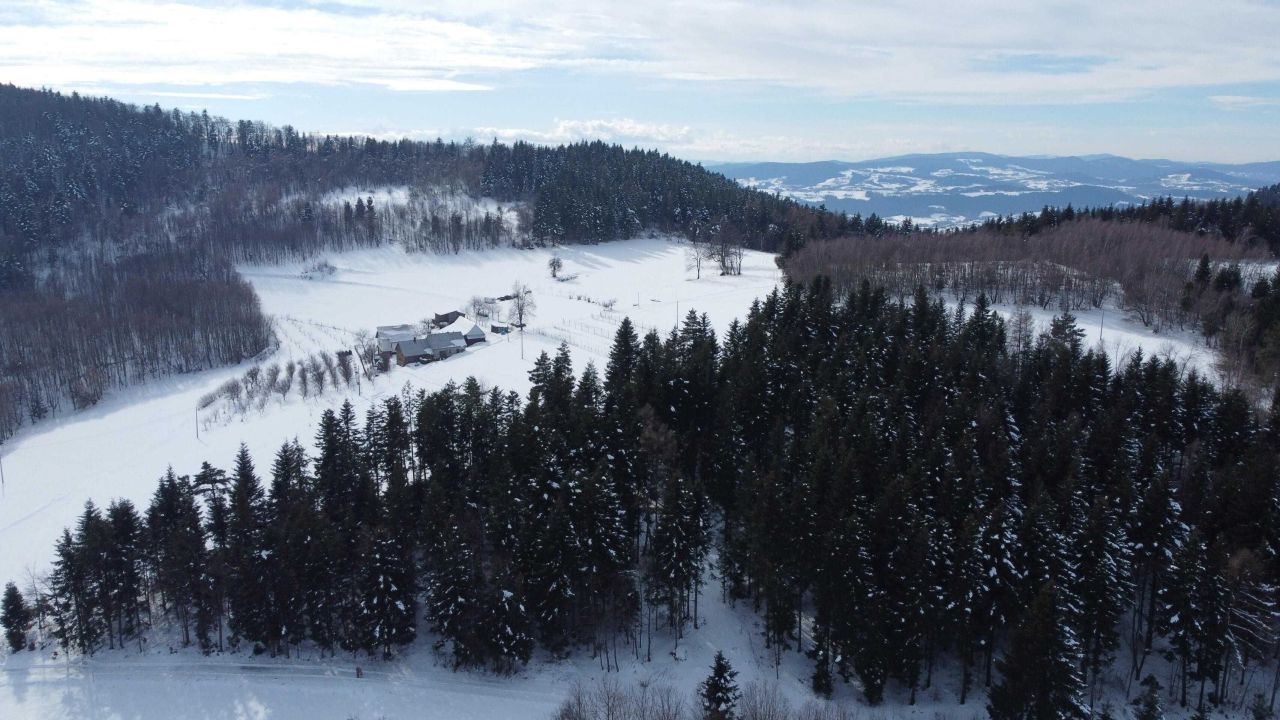 Działka rolna Skrzętla-Rojówka. Zdjęcie 7