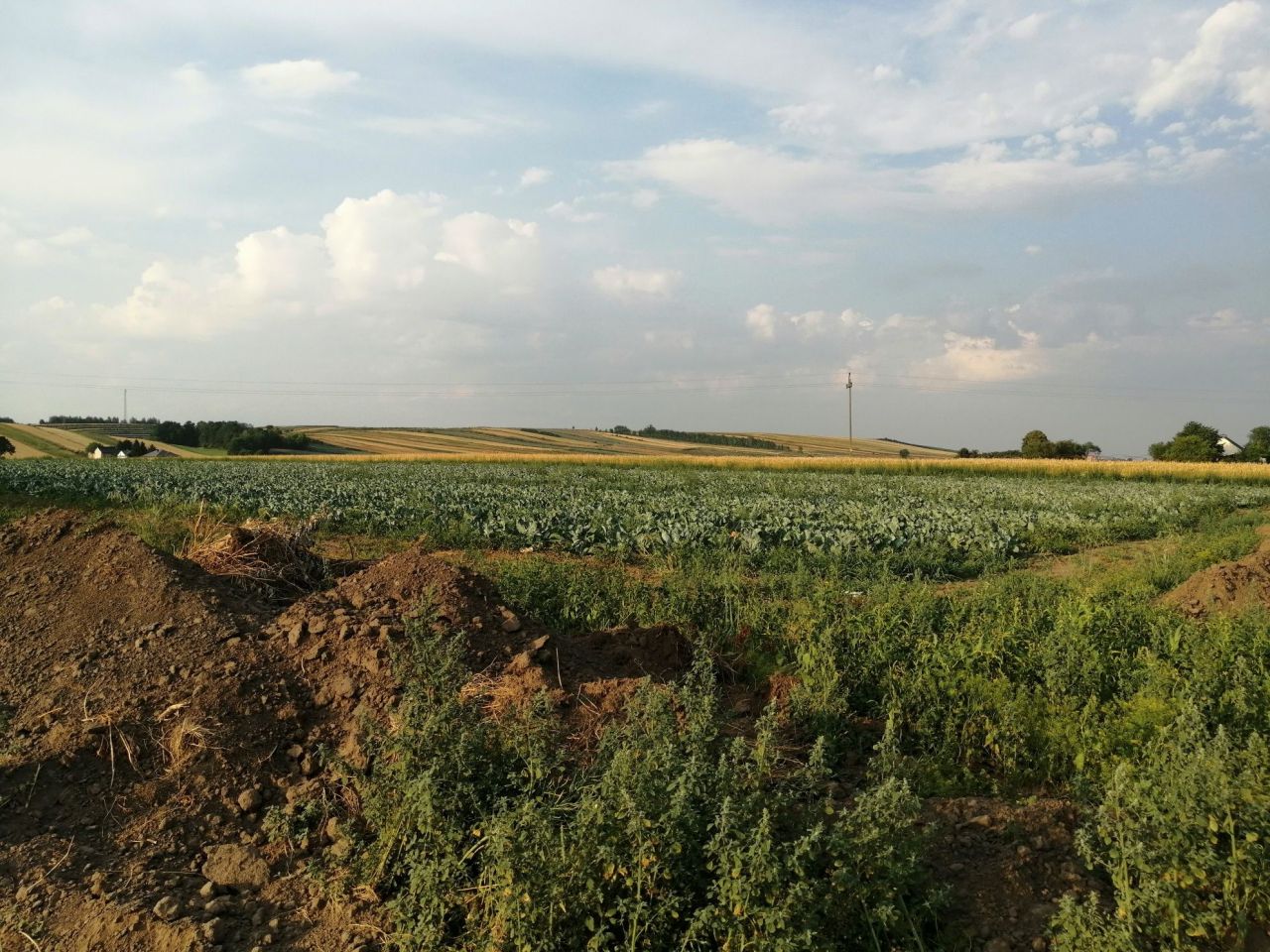 Działka rolno-budowlana Igołomia