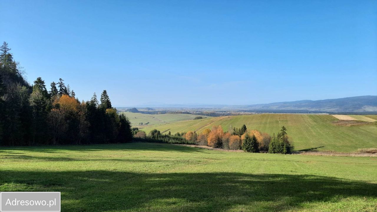 Działka rolna Dursztyn. Zdjęcie 3