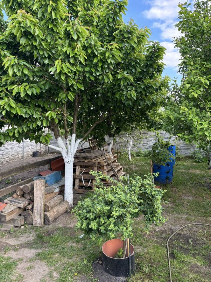 dom wolnostojący Żarowo. Zdjęcie 7