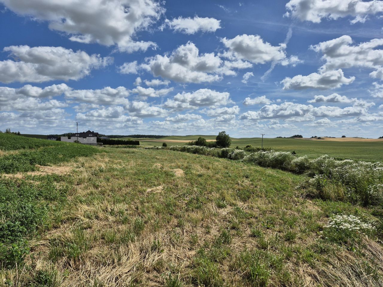 Działka budowlana Stanisławie. Zdjęcie 5