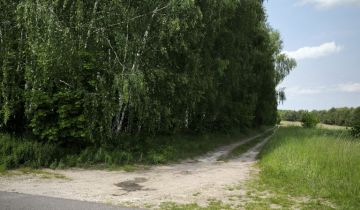 Działka leśna Rejowiec Fabryczny, ul. Gabriela Narutowicza