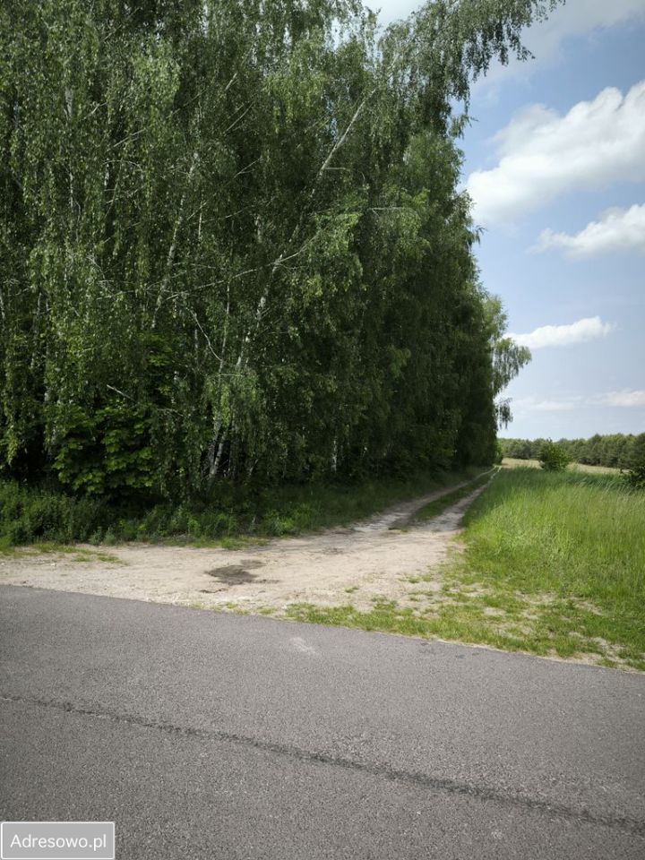 Działka leśna Rejowiec Fabryczny, ul. Gabriela Narutowicza