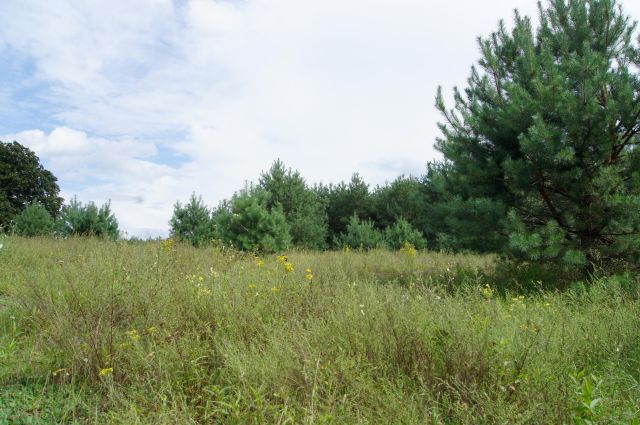 Działka budowlana Nagodów. Zdjęcie 7