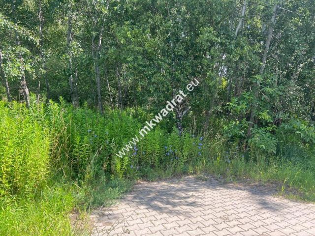 Działka budowlana Radonie. Zdjęcie 11