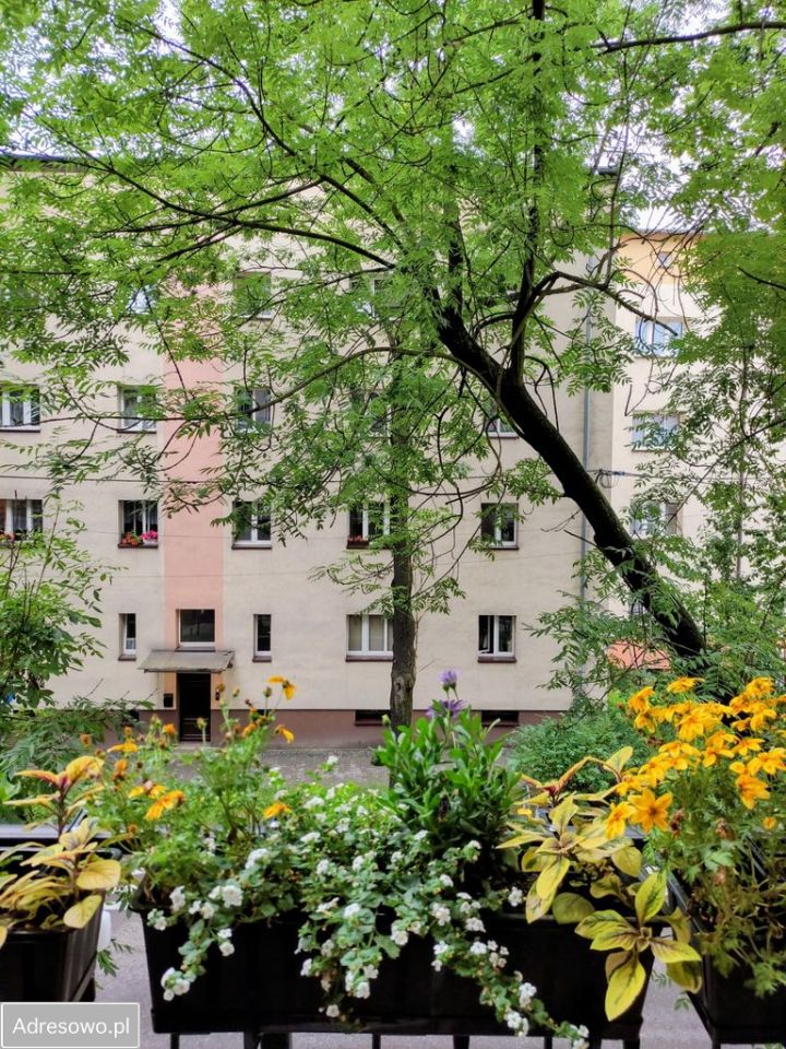 Mieszkanie 3-pokojowe Bytom Śródmieście, ul. Ignacego Chrzanowskiego. Zdjęcie 4