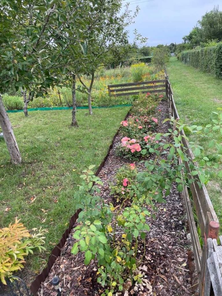 Działka rod Wrocław Krzyki. Zdjęcie 5