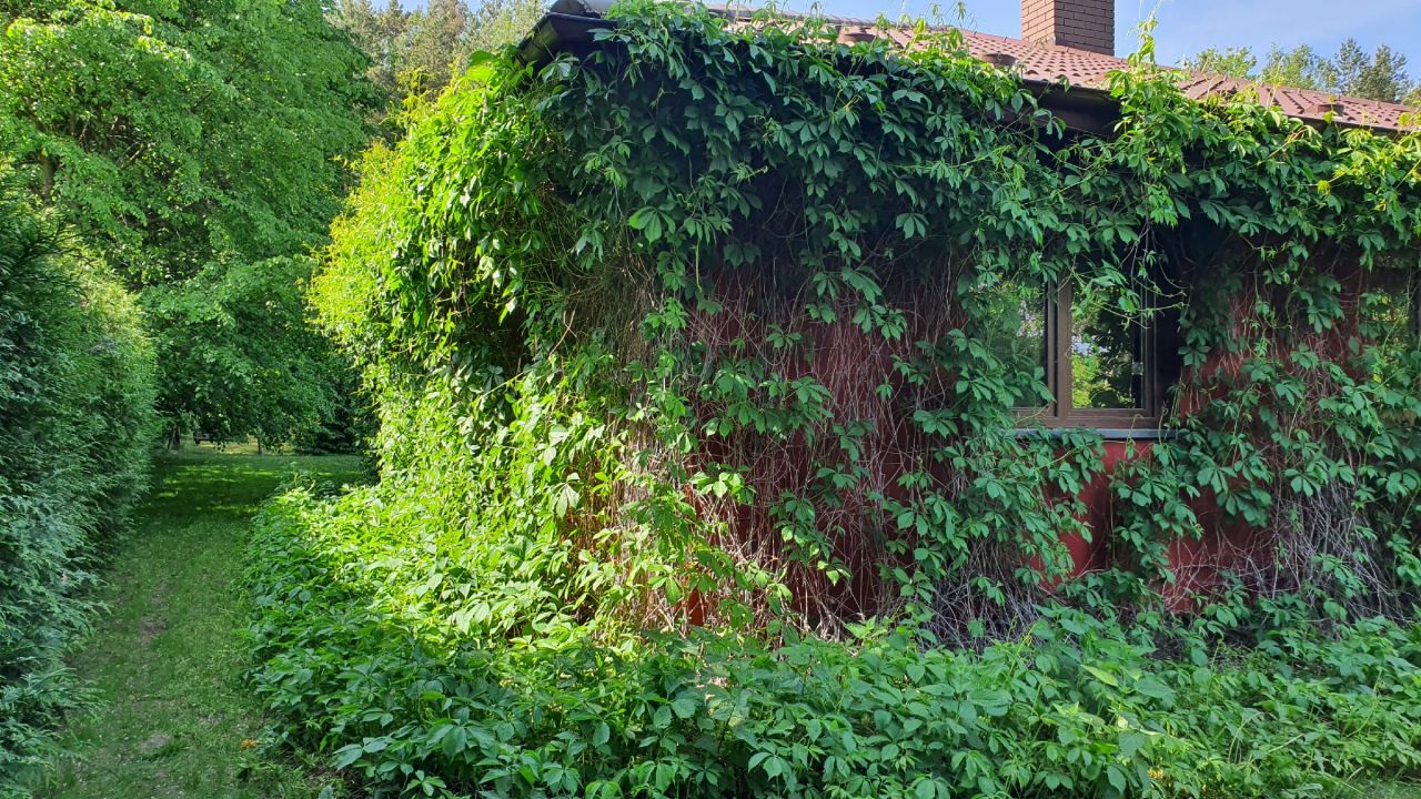 dom wolnostojący, 3 pokoje Skarbka Bidzińszczyzna, Bidizńszczyzna. Zdjęcie 4