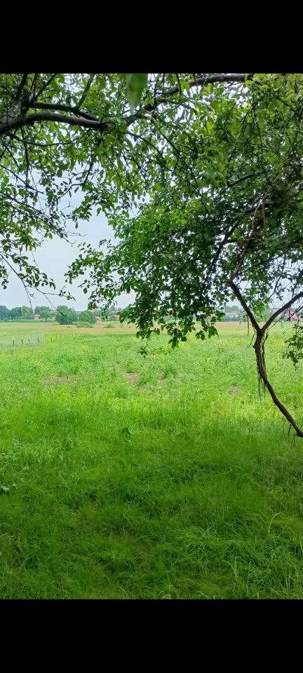 Działka rolno-budowlana Kąty Pierwsze. Zdjęcie 8