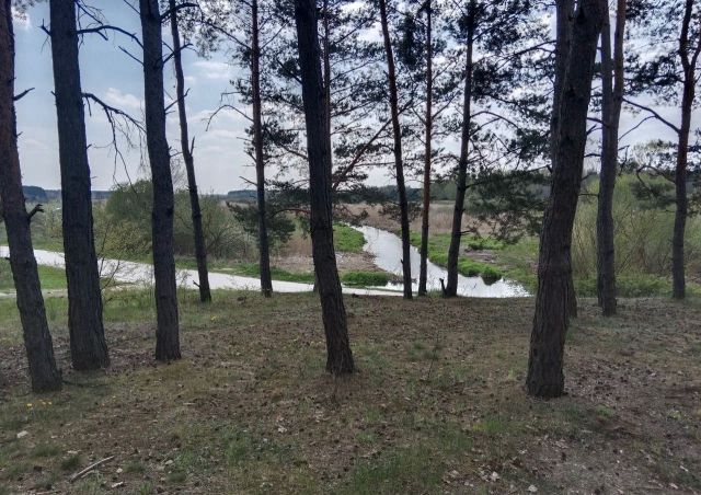 Działka rekreacyjna Bizoręda. Zdjęcie 1