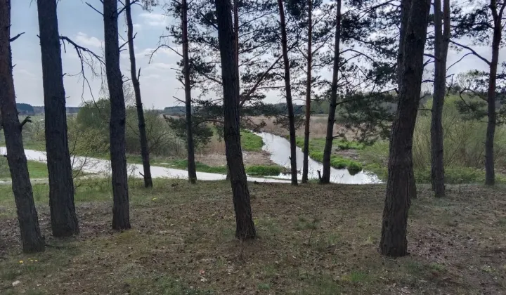 Działka rekreacyjna Bizoręda