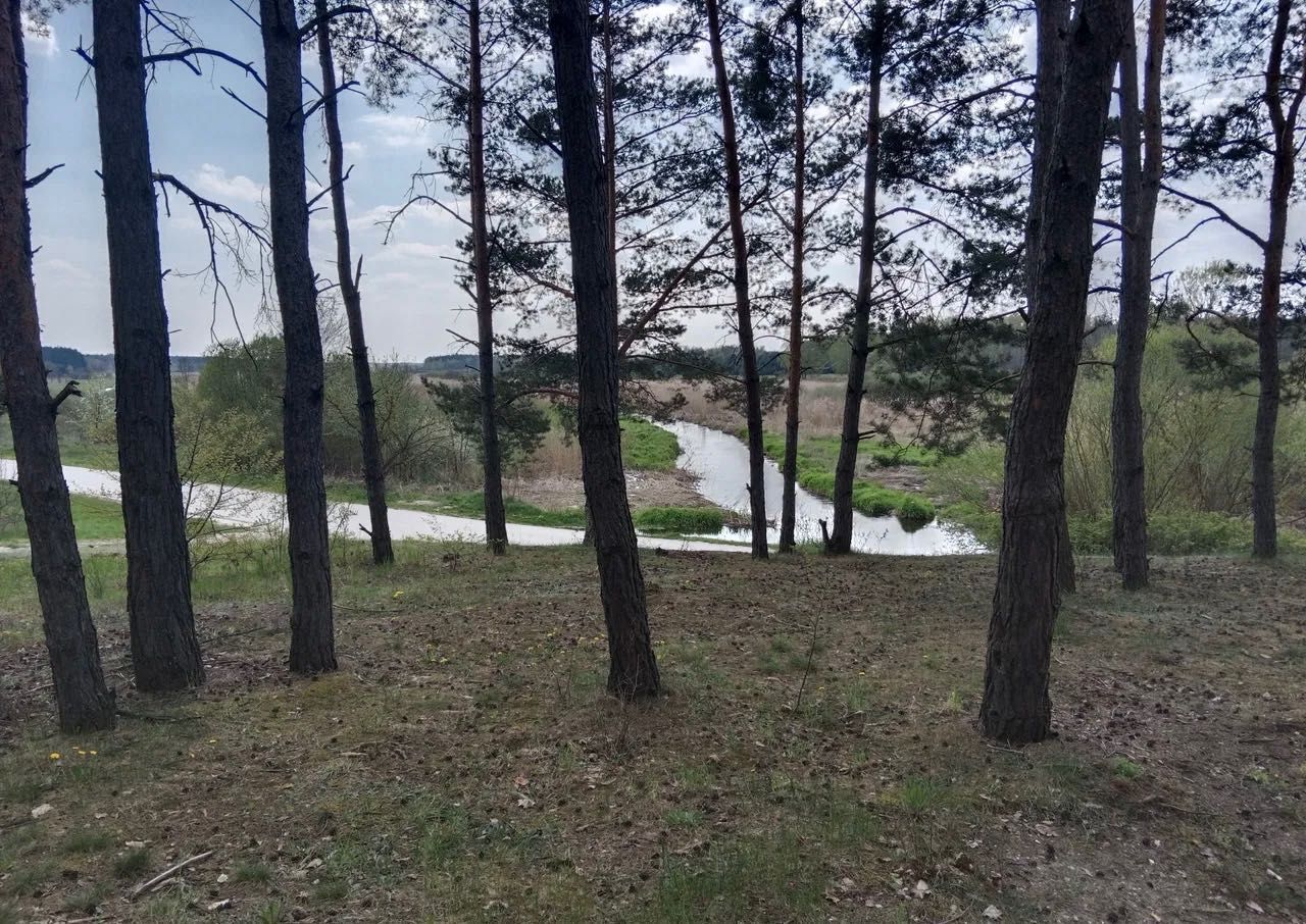 Działka rekreacyjna Bizoręda. Zdjęcie 1